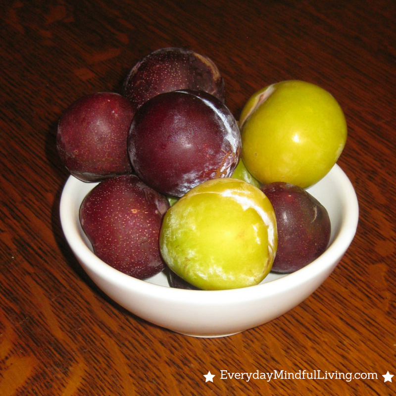 Healthy Snack Fresh Plums Everyday Intentional Living